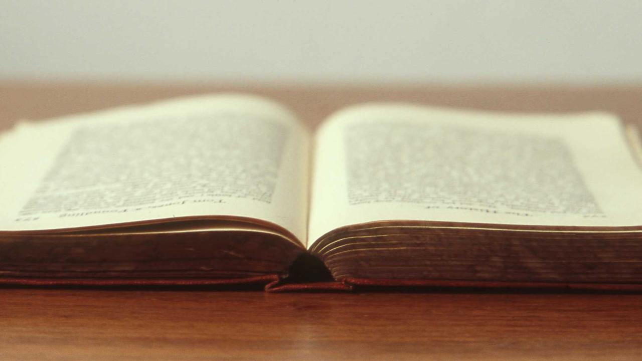 Aurora — Creative portfolio